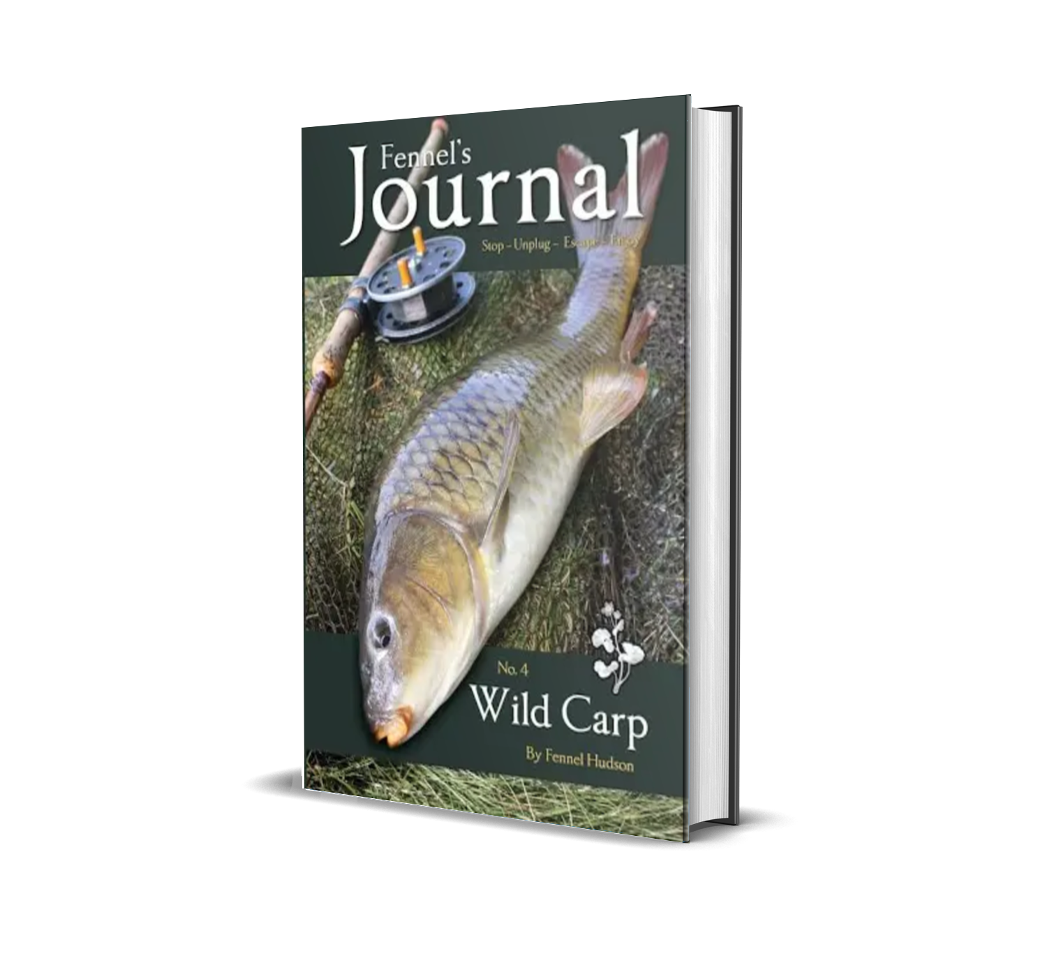Wild Carp