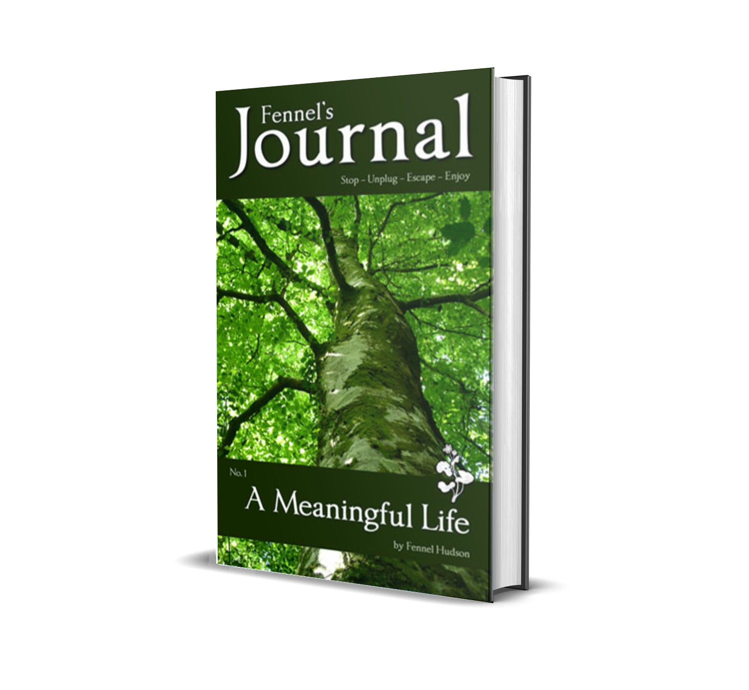 A Meaningful Life