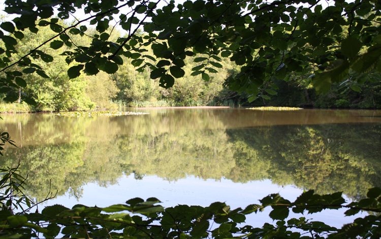 Kingston Coarse Fishing Pools, Lighthorne