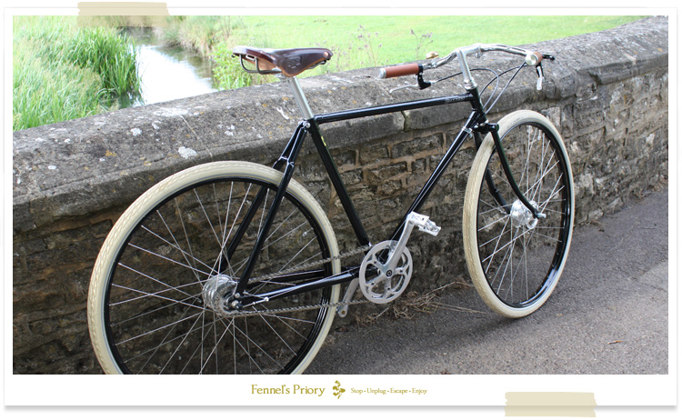 Pashley guvnor for store sale