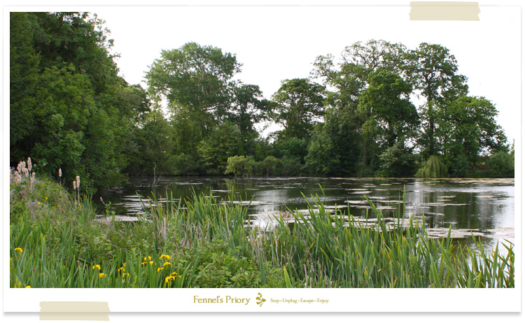 Home Water by Fennel Hudson