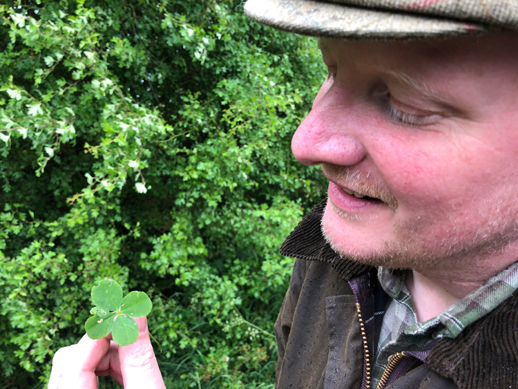 Four leaf clover - Fennel Hudson