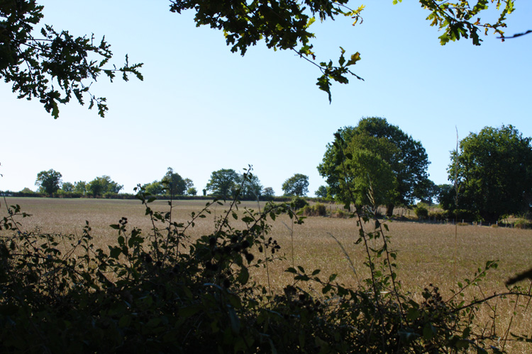 The quiet farmland surrounding Quarry Bank Fishery