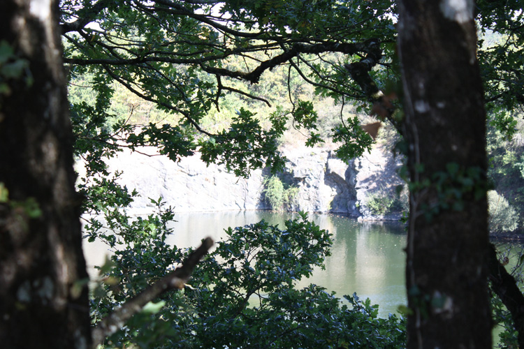 Quarry Bank carp fishery in France