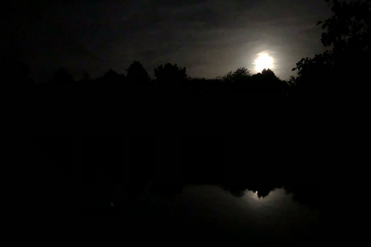 Full moon over Quarry Bank fishery, France