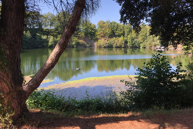 Quarry Bank carp fishery, France