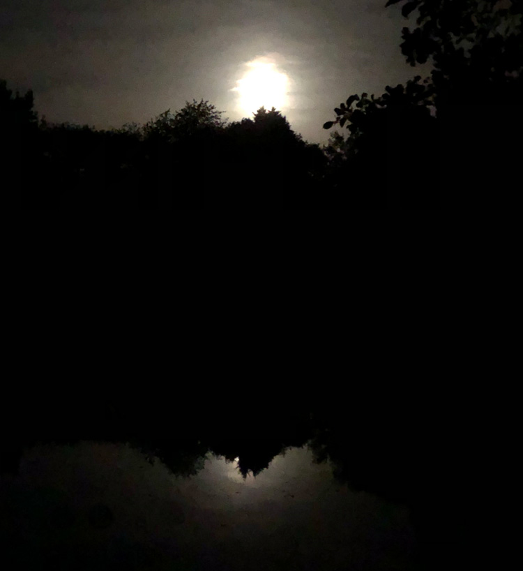 Moonlit night at Quarry Bank Carp fishery France