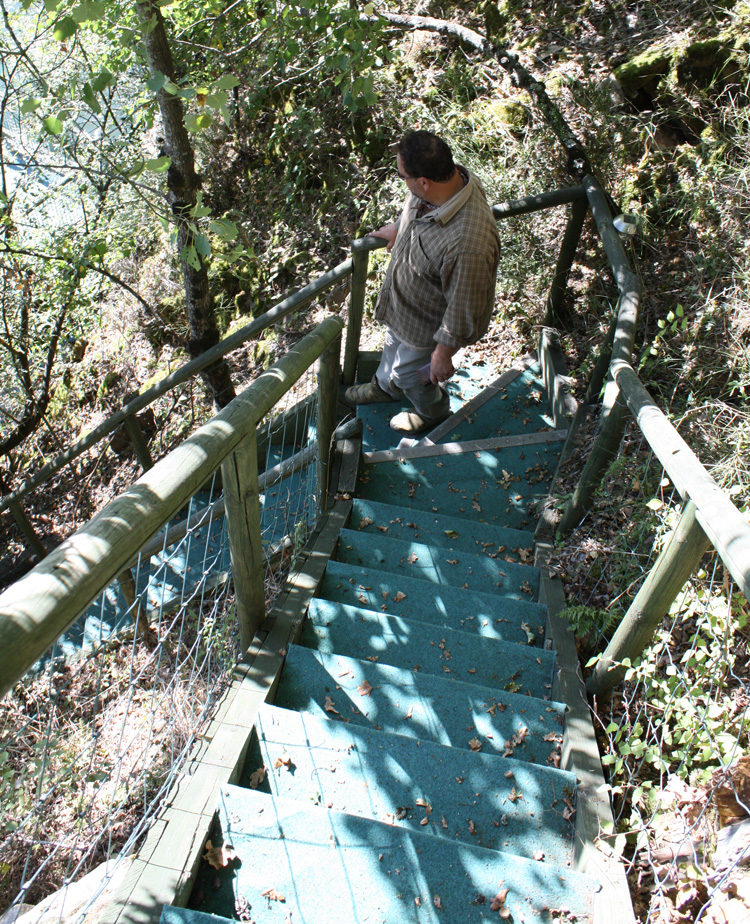 Phenomenal engineering - the 31 steps down to the aptly-named Steps swim at Quarry Bank.