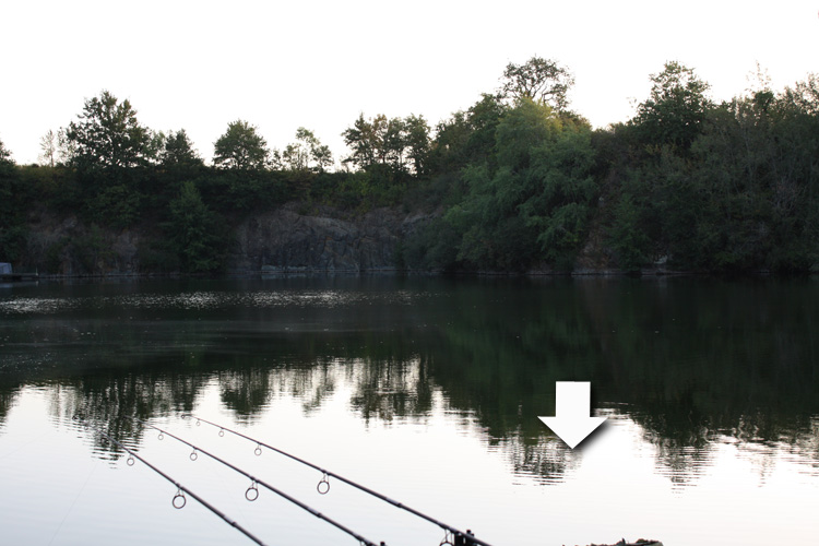 The first feeding spot in Fennel's swim at Quarry Bank Fishery.