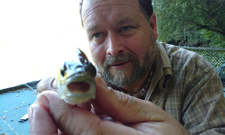 Quarry Bank perch for Shaun Harrison