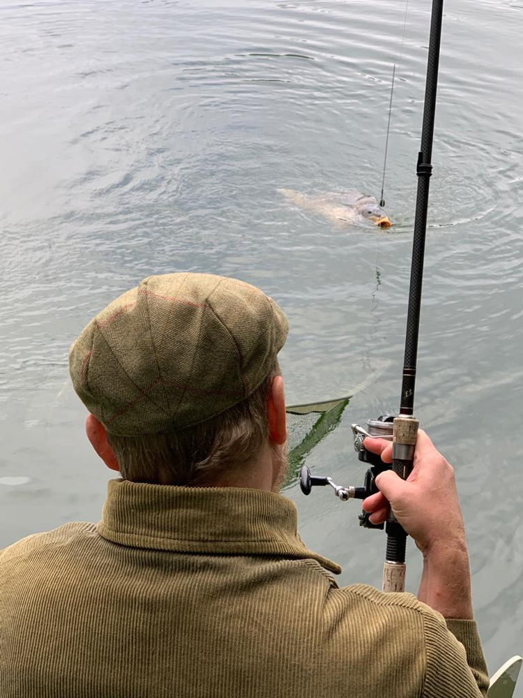 The first Quarry Bank carp is drawn close to the net.