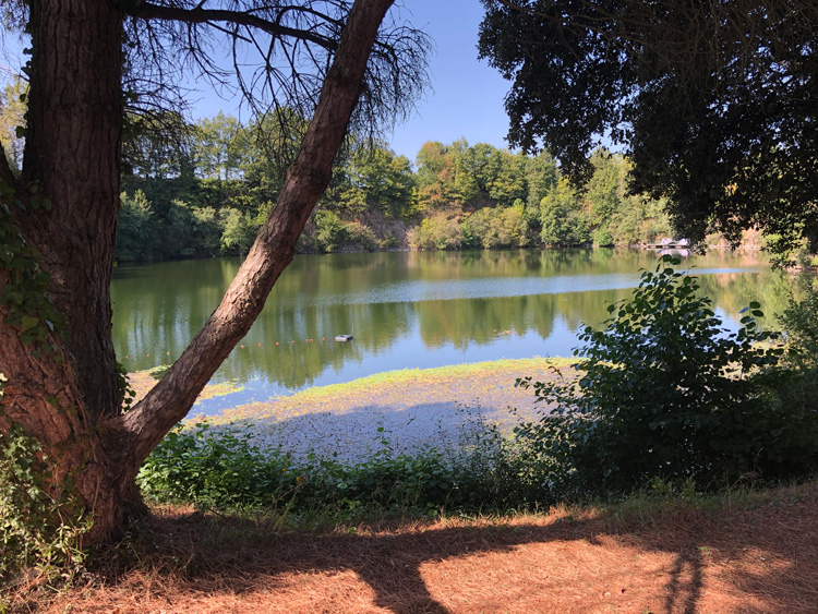 Quarry Bank Fishery. It was hot!