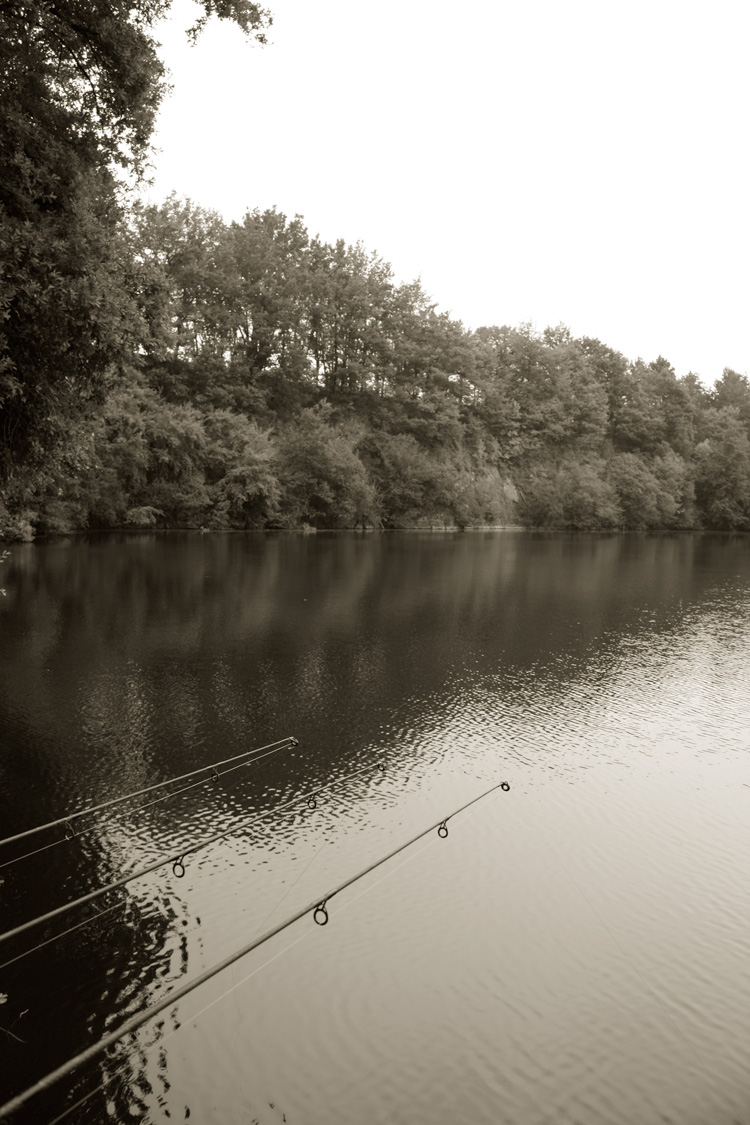 Quarry Bank Fishery, France