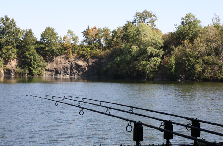 Quarry Bank Fishery, France