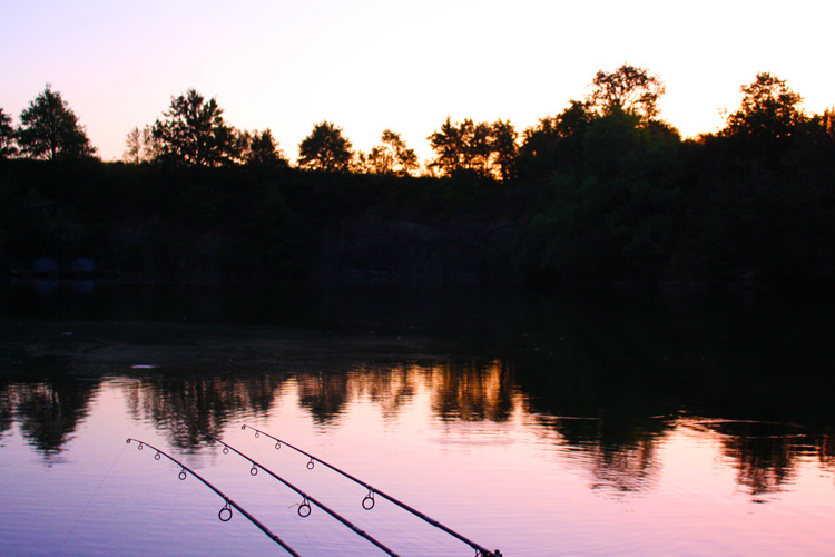 Quarry Bank Fishery, France