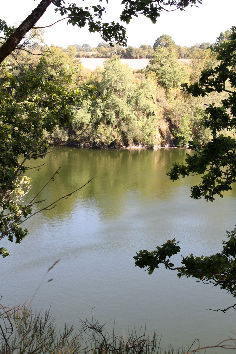 The shielding walls of rock that protect Quarry Bank Fishery from the outside world