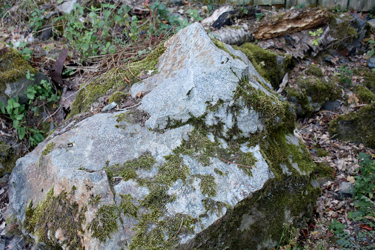 The diorite stone quarried for use in local roads and pavements at Quarry Bank Fishery